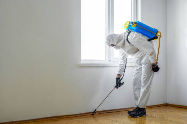 Best Residential Pest Control  in Warrington, FL